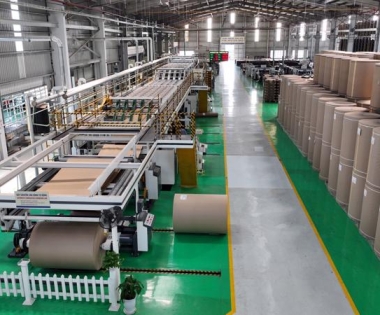 Công nghiệp bao bì Việt Nam hướng tới phát triển bền vững